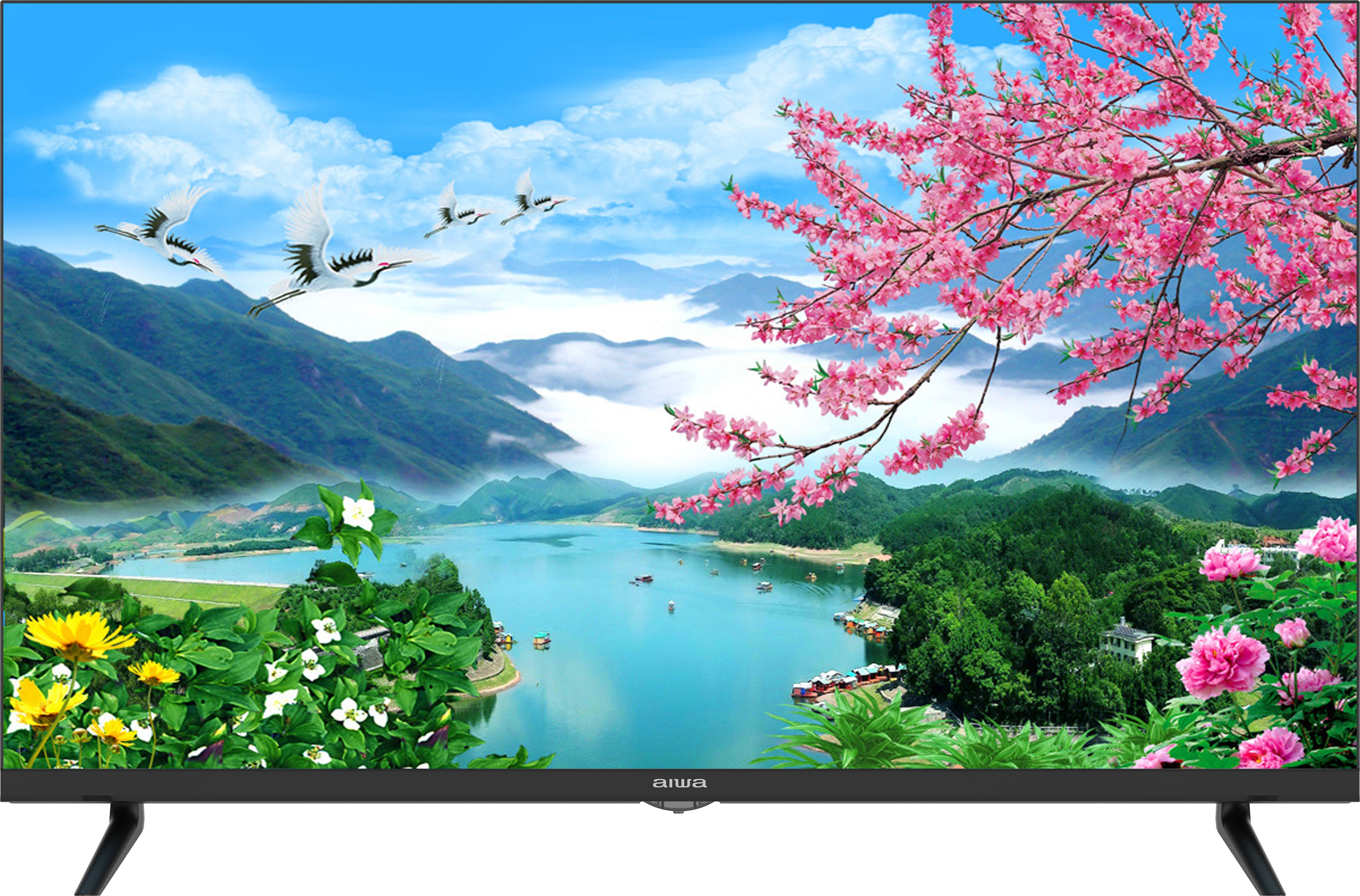 ‎ טלוויזיה  