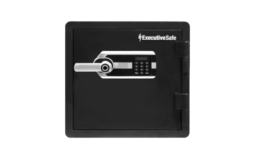 כספת חסינת אש עם כניסה ביומטרית  ES045