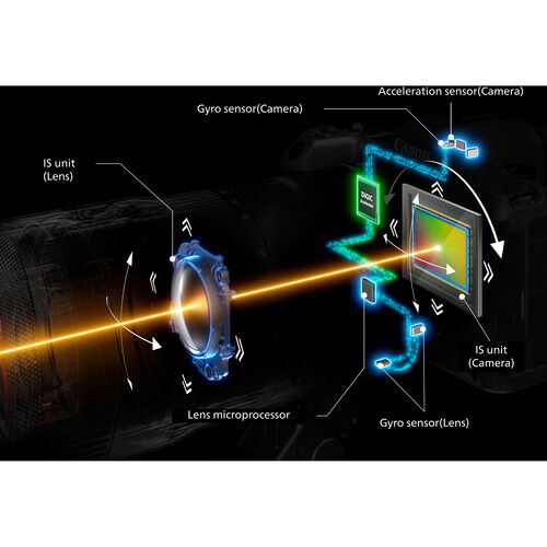 מצלמה ללא מראה Canon EOS R5 Mark II יבואן רשמי