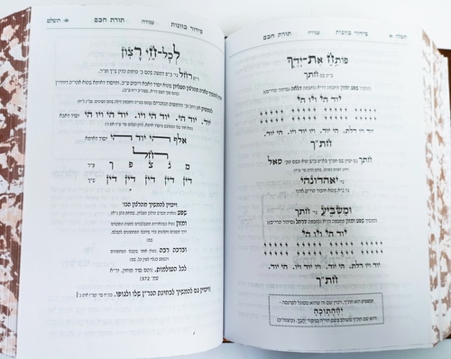 סידור תורת חכם - שחרית חול