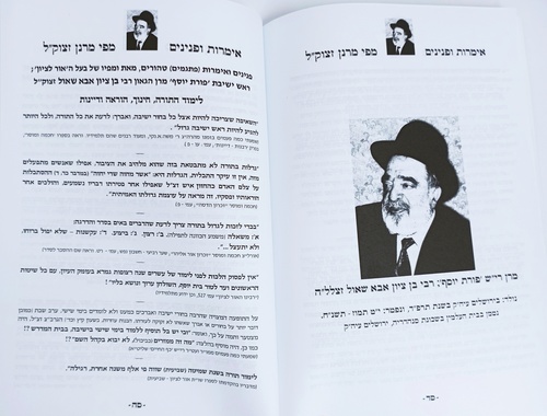 לקט אימרות פתגמים ופנינים - מרנן ורבנן