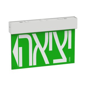 תמונה 1