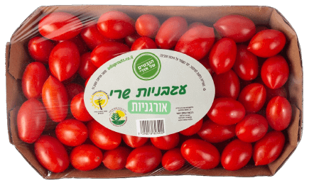 עגבניות שרי אורגניות כ-500 ג' | הנבטים של אודי