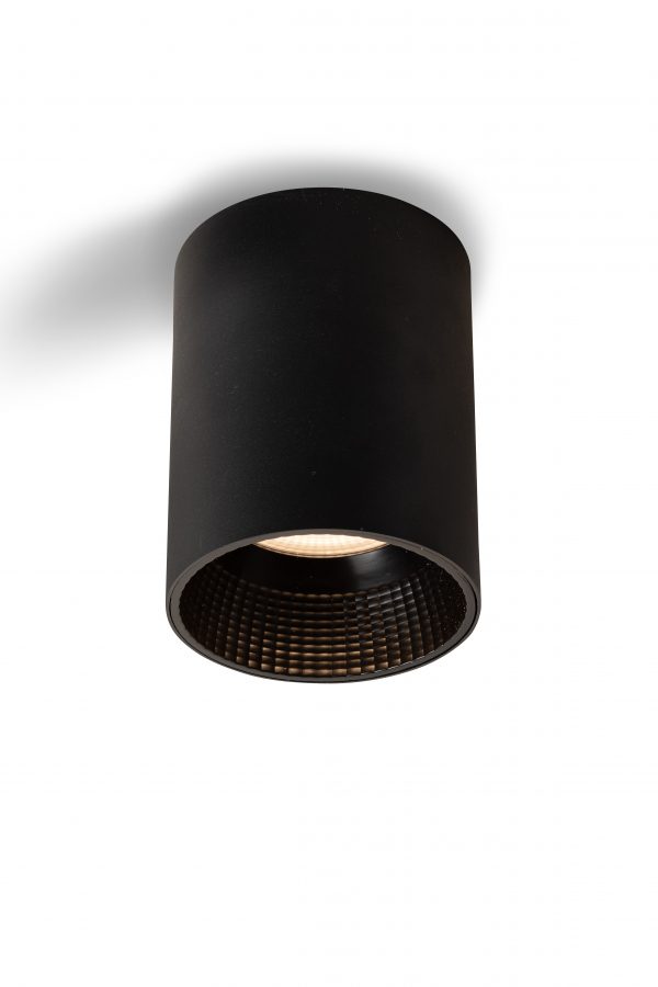 CEILING LAMP D80*H120MM,  CREE LED 12W, 3000K