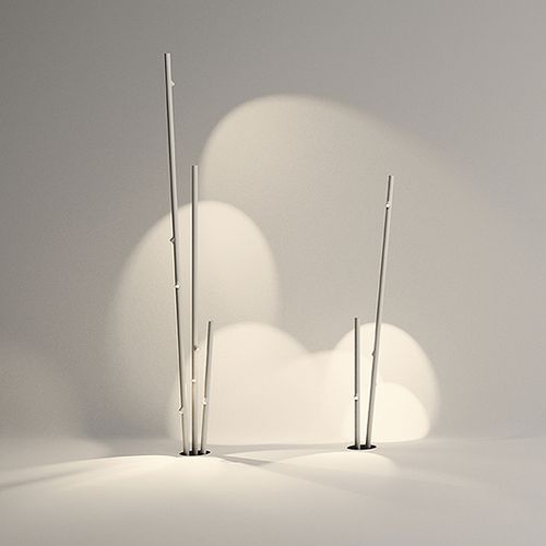 BAMBOO