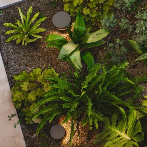Dots outdoor