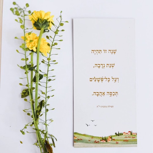 מגנט - שנת נדבה