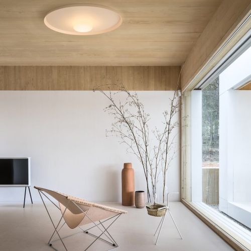 TOP Ceiling & wall