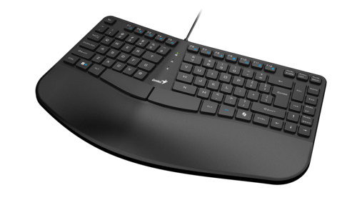  Genius Ergo KB-700