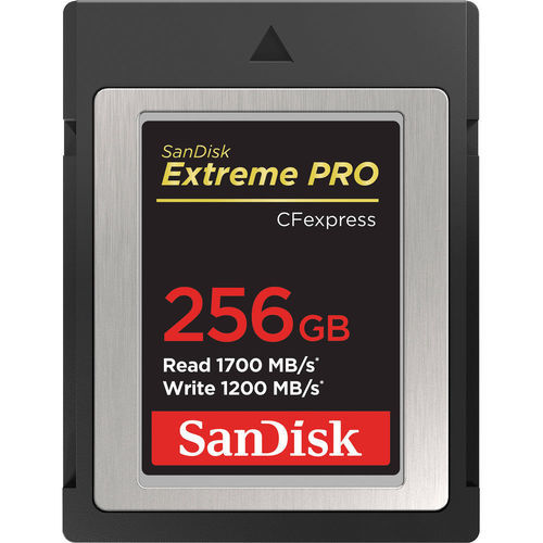 Sandisk ex pro CF express B 256 1700 MB
