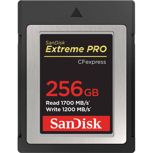 Sandisk ex pro CF express B 256 1700 MB סנדיסק