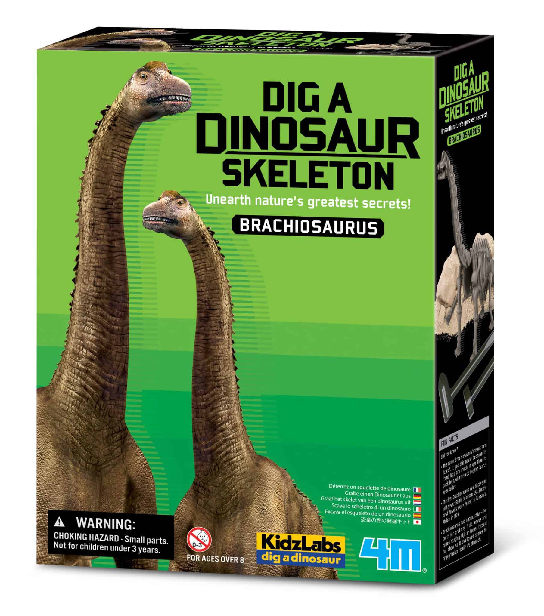 חפירת שלד דינוזאור ברכיוזאורוס Brachiosaurus