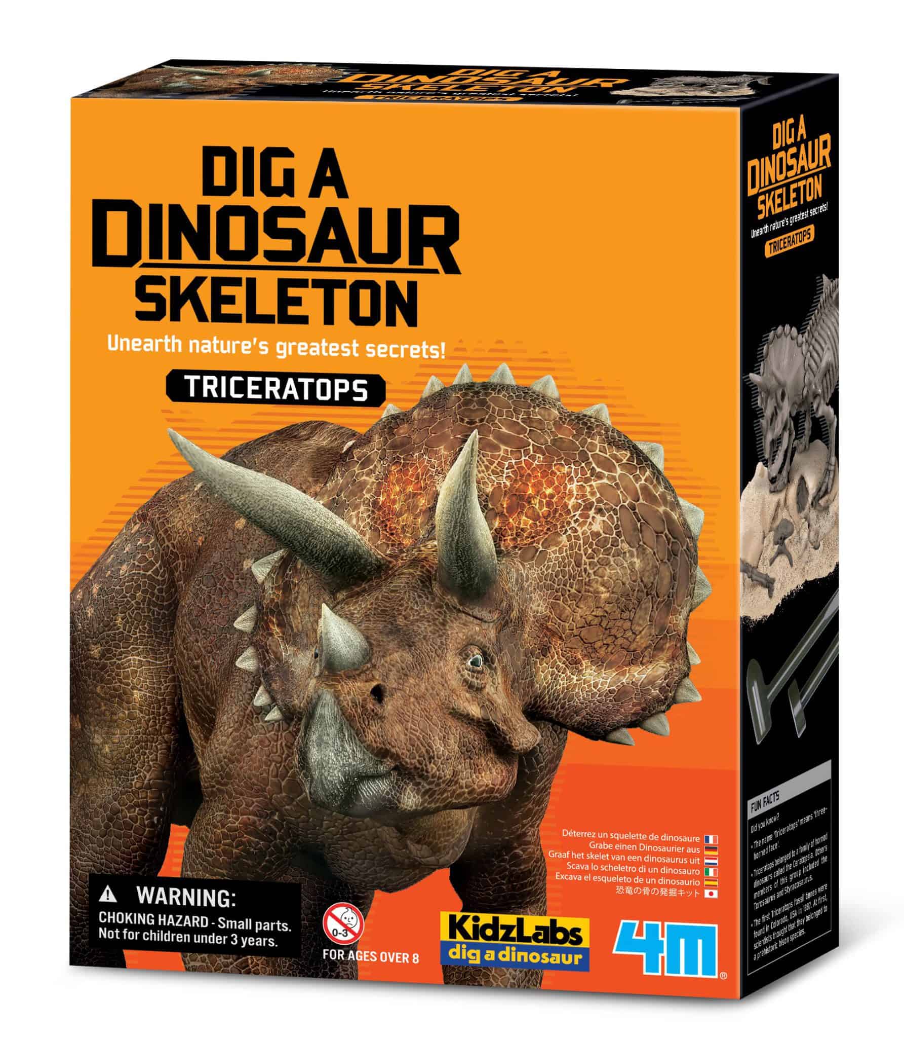 חפירת שלד דינוזאור טריצרטופס Triceratops