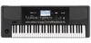אורגן מקצועי KORG PA300