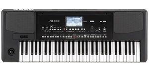 אורגן מקצועי KORG PA300