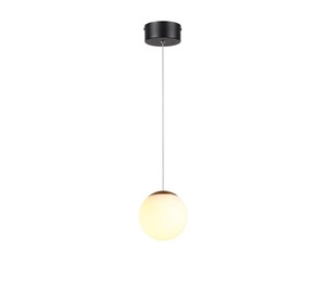 תלוי LED 8W