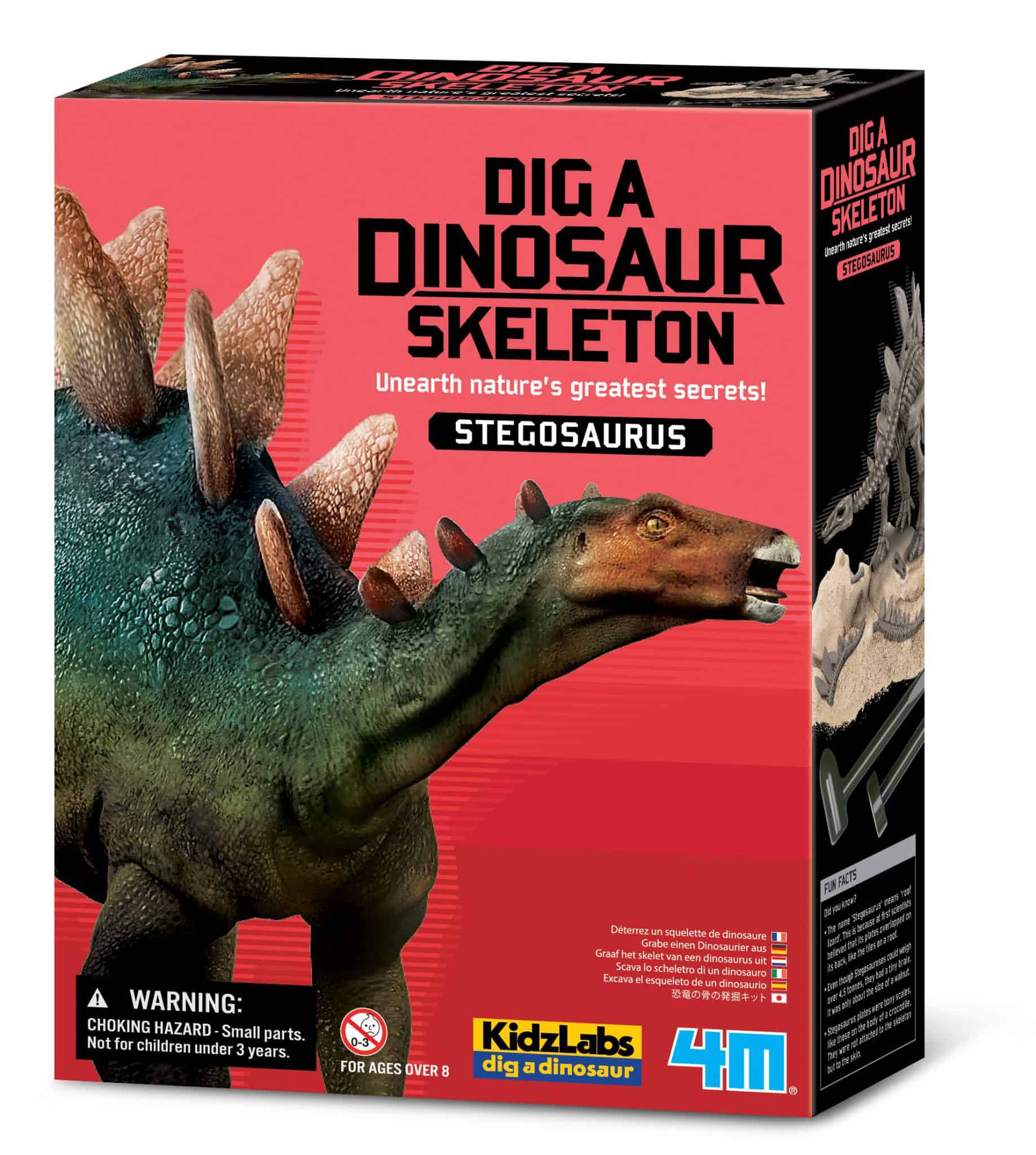 חפירת שלד דינוזאור סטגוזאורוס Stegosaurus