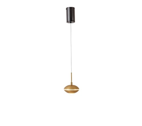 תלוי פליז LED 8W