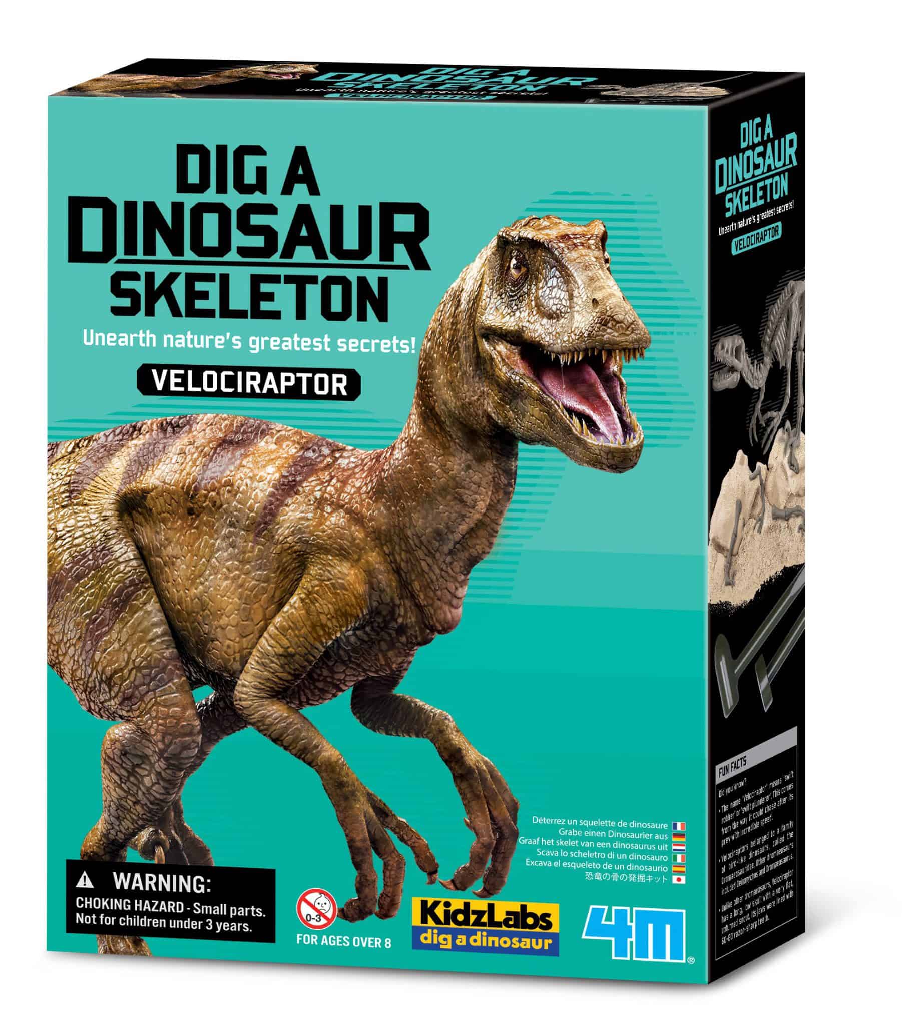 חפירת שלד דינוזאור ולוצירפטור Velociraptor