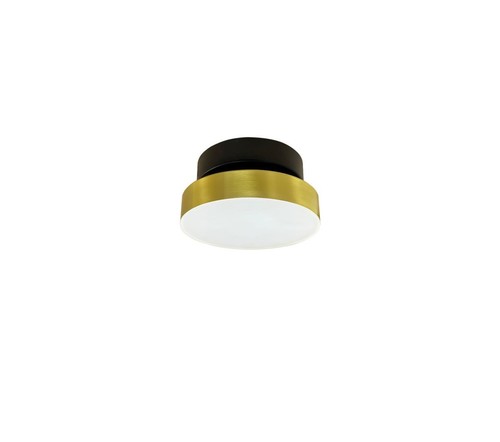 צמוד LED 10W