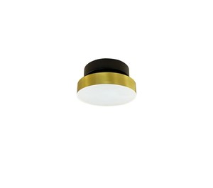 צמוד LED 10W