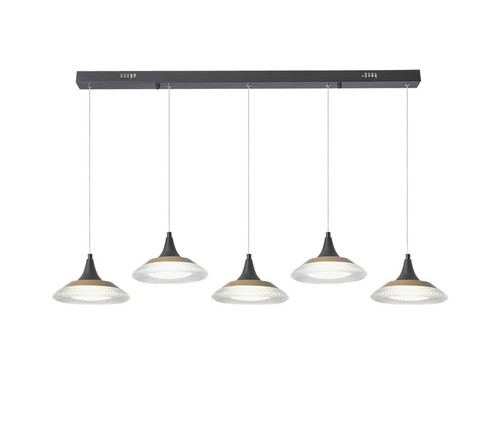 5 תלוי שחור על בסיס LED 60W