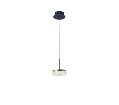תלוי LED 12W