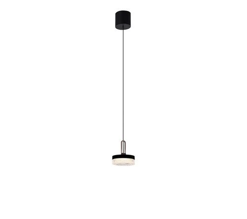 תלוי LED 8W