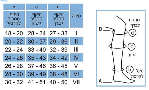 גרביים לטיסה