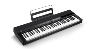 EC6606 אורגנית 5 אוקטבות כולל אלמנט הטאץ