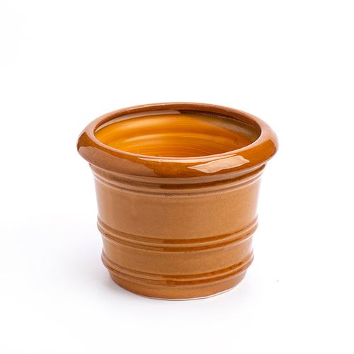 עציץ ספייס סטרייפס יילו