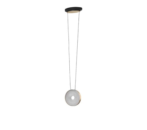 תלוי LED 12W