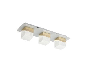 3 צמוד LED 30W