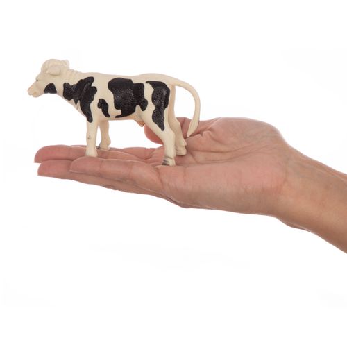 חיות חווה 10 יחידות