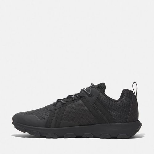 נעלי טימברלנד Timberland WINSOR TRAIL | גברים