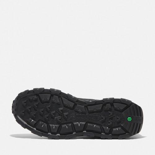 נעלי טימברלנד Timberland WINSOR TRAIL | גברים