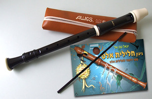 חלילית אלט מפלסטיק AULOS 309A עם תוספות