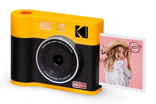 צבע צהוב ושחור