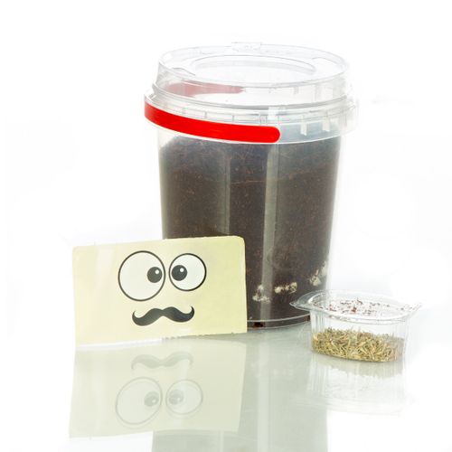 אדנית אקולוגית