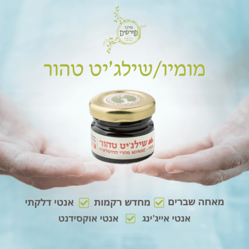 מומיו טהור שילג'יט מהרי ההימלאיה 20 גרם Rasayana