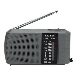 רדיו טרנזיסטור סוללות KNSTAR K-265