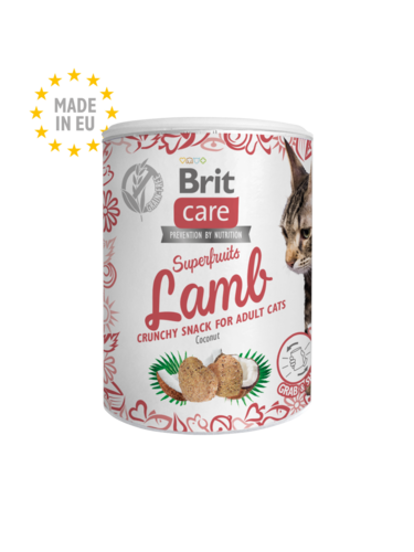 חטיף בריט קר סופר פרוטס לחתול על בסיס כבש 100 גרם Brit Care Superfruits