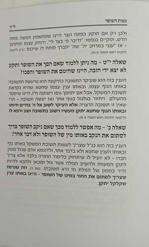 טעם שופר
