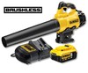 מפוח עליםDCM562P1 BL 18V - DCM562P1 Dewalt