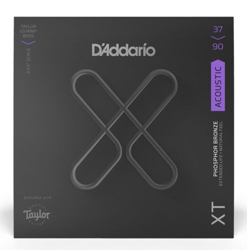D'Addario XTB3790GS Acoustic Bass Strings