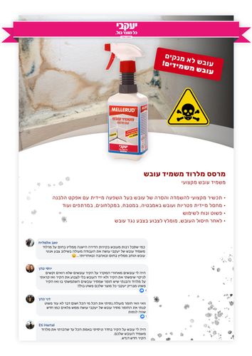 מלרוד - תרסיס משמיד עובש מקצועי