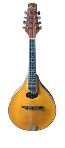 מנדולינה כולל נרתיק WINZZ AM10L-A-H Solid Spruce top