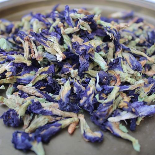 אפונת הפרפר Grade A באיכות מעולה! משקל 20 גרם | Clitoria ternatea