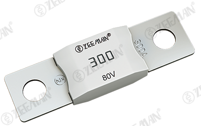 פיוז SLOW BLOW 80V 300A