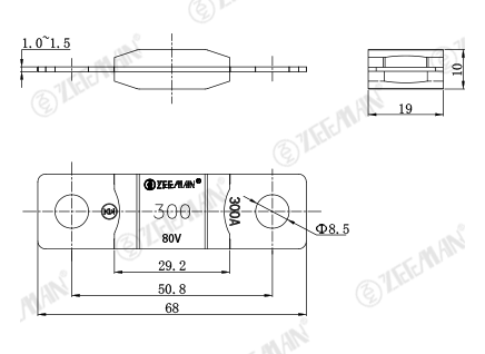 פיוז SLOW BLOW 80V 300A